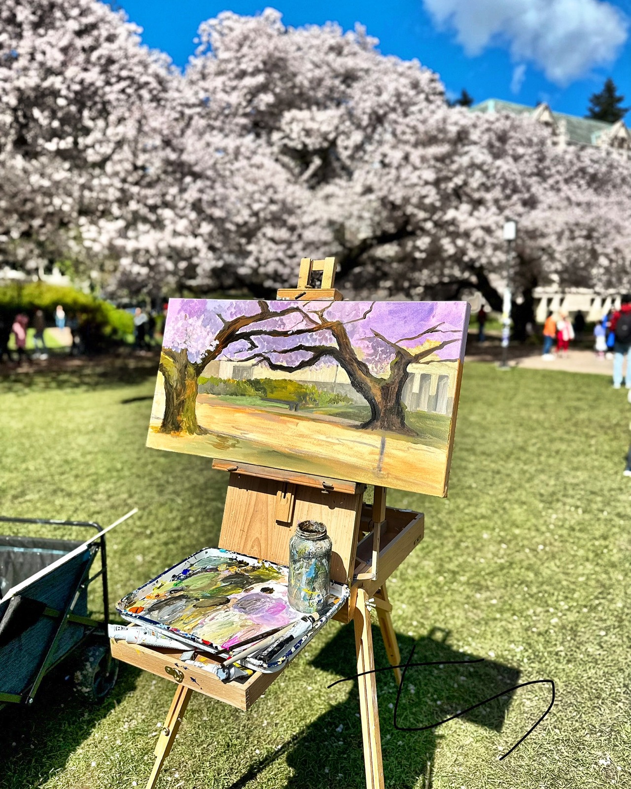 Plein air easel painting beneath blooming cherry trees